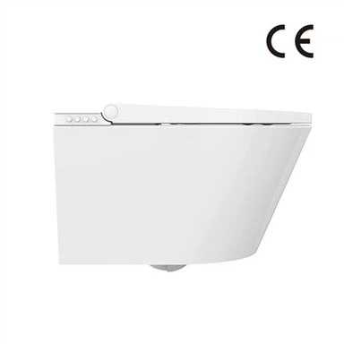 Viedās tualetes komerciālais