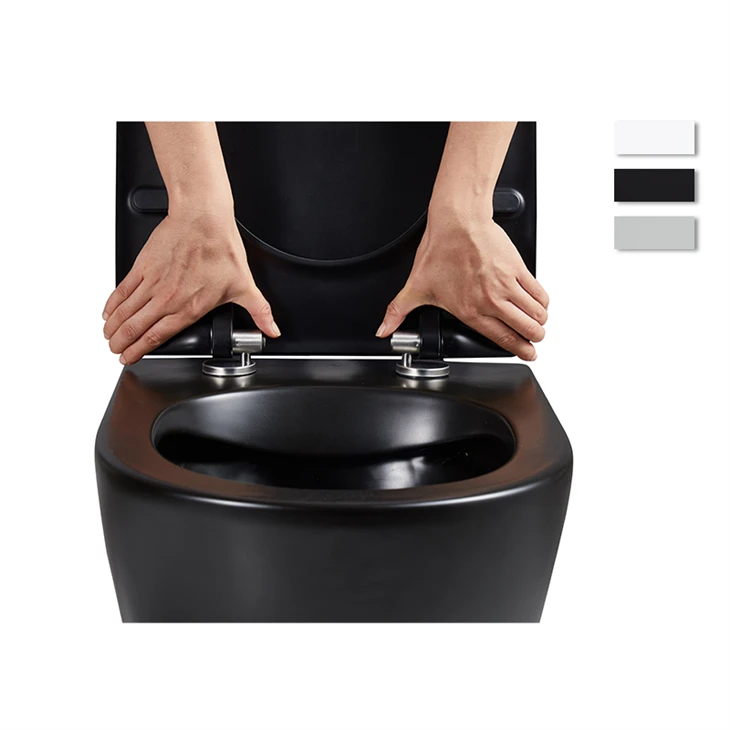 matte black toilet seat plastic